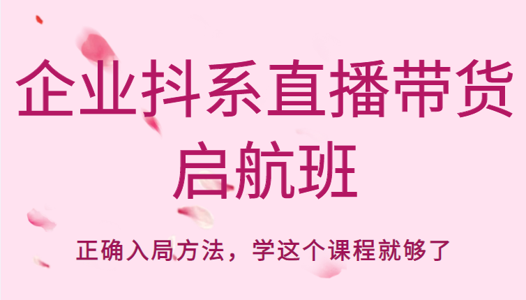 企业抖系直播带货启航班，正确入局方法，学这个课程就够了网赚项目-副业赚钱-互联网创业-独家轻创IP星泽云创
