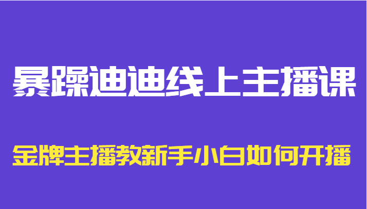 暴躁迪迪线上主播课，金牌主播教新手小白如何开播网赚项目-副业赚钱-互联网创业-独家轻创IP星泽云创