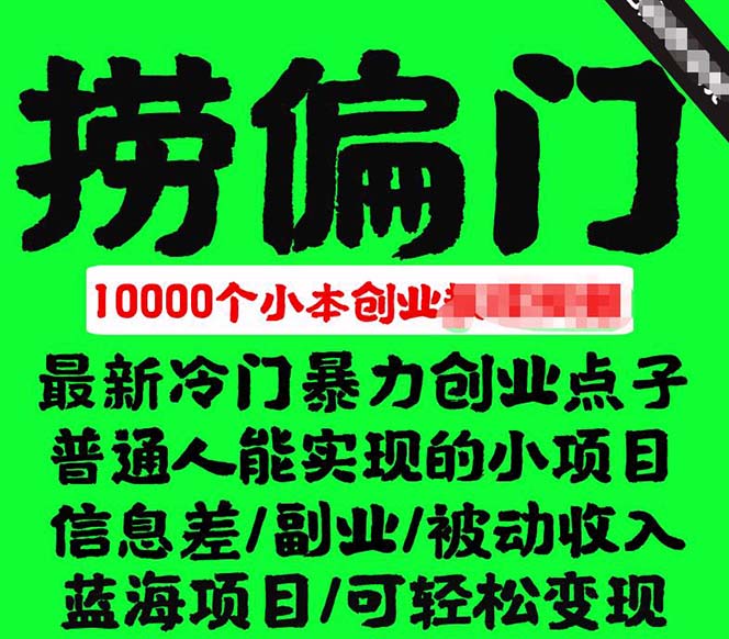 千款捞偏门小本创业小项目，总有一款适合你【无水印】网赚项目-副业赚钱-互联网创业-独家轻创IP星泽云创