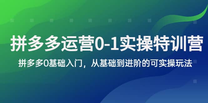拼多多-运营0-1实操训练营，拼多多0基础入门，从基础到进阶的可实操玩法网赚项目-副业赚钱-互联网创业-独家轻创IP星泽云创