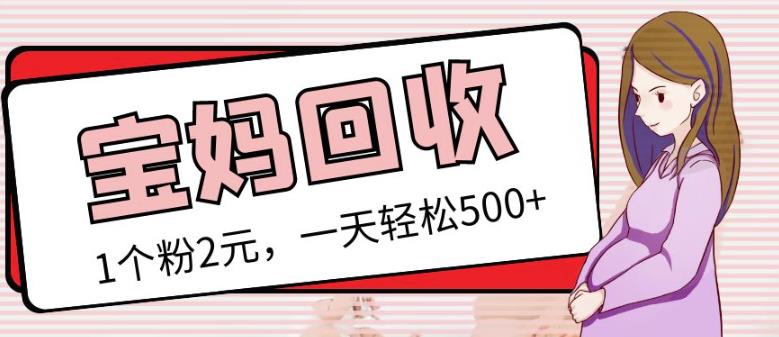 最新小红书母婴号宝妈粉回收项目，1个粉2元，一天轻松500+案例分享【粉丝包回收】网赚项目-副业赚钱-互联网创业-独家轻创IP星泽云创