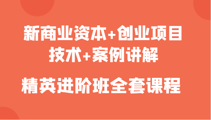 新商业资本+创业项目，技术+案例讲解，精英进阶班全套课程网赚项目-副业赚钱-互联网创业-独家轻创IP星泽云创