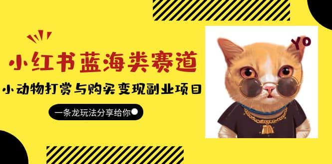 小红书蓝海类赛道：小动物打赏与购买变现副业项目，一条龙玩法分享给你网赚项目-副业赚钱-互联网创业-独家轻创IP星泽云创