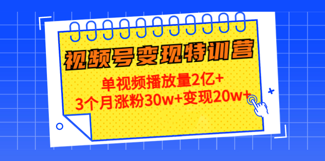 21天视频号变现特训营：单视频播放量2亿+3个月涨粉30w+变现20w+网赚项目-副业赚钱-互联网创业-独家轻创IP星泽云创