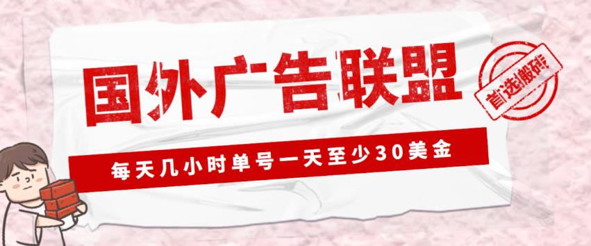 外面收费1980的最新国外LEAD广告联盟搬砖项目，单号一天至少30美金【详细玩法教程】网赚项目-副业赚钱-互联网创业-独家轻创IP星泽云创