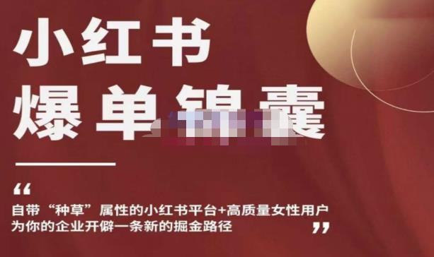小红书爆单锦囊，自带种草属性+高质量女性用户，为你的企业开辟一条新的掘金路径网赚项目-副业赚钱-互联网创业-独家轻创IP星泽云创