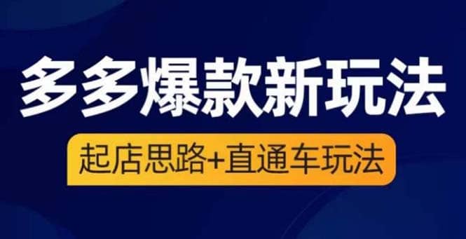 2023拼多多爆款·新玩法：起店思路+直通车玩法（3节精华课）网赚项目-副业赚钱-互联网创业-独家轻创IP星泽云创