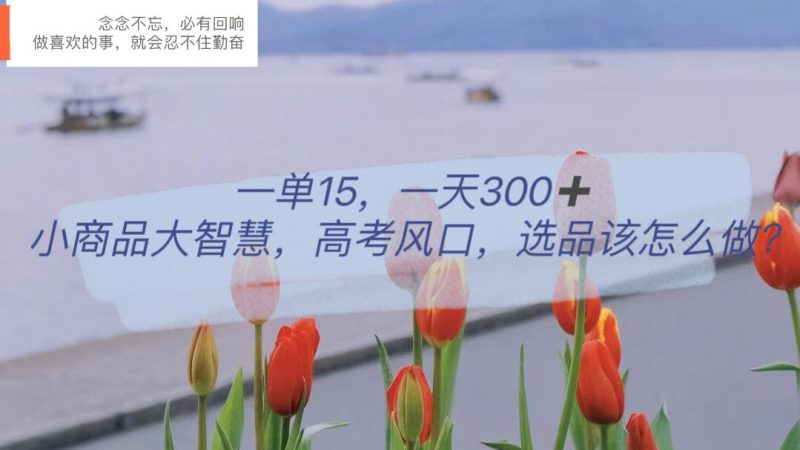 一单15，一天300+，小商品大智慧，高考风口，选品该怎么布局网赚项目-副业赚钱-互联网创业-独家轻创IP星泽云创