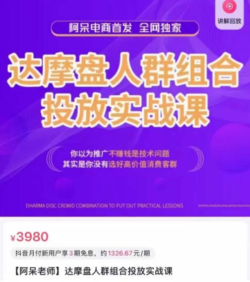 阿呆电商·达摩盘人群组合投放实战课，你以为推广不赚钱是技术问题，其实是你没有选好高价值消费客群网赚项目-副业赚钱-互联网创业-独家轻创IP星泽云创
