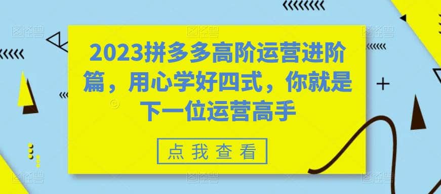 2023拼多多高阶运营进阶篇，用心学好四式，你就是下一位运营高手网赚项目-副业赚钱-互联网创业-独家轻创IP星泽云创