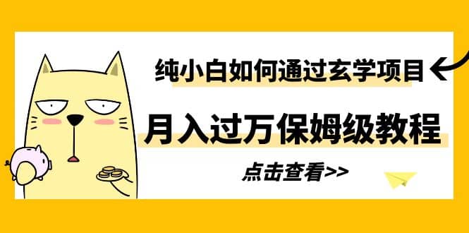 纯小白如何通过玄学项目月入过万保姆级教程网赚项目-副业赚钱-互联网创业-独家轻创IP星泽云创