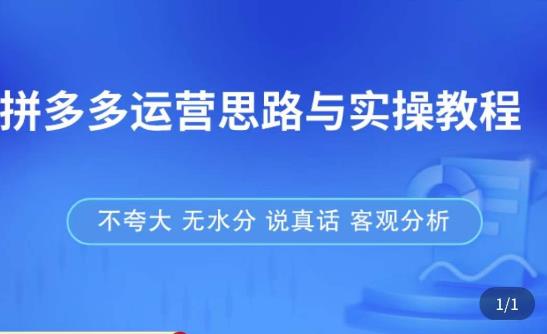 拼多多店铺运营思路与实操教程，快速学会拼多多开店和运营，少踩坑，多盈利网赚项目-副业赚钱-互联网创业-独家轻创IP星泽云创