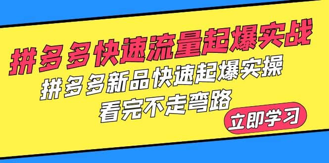 拼多多-快速流量起爆实战，拼多多新品快速起爆实操，看完不走弯路网赚项目-副业赚钱-互联网创业-独家轻创IP星泽云创