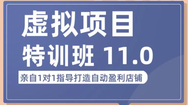 陆明明·虚拟项目特训班（10.0+11.0），0成本获取虚拟素材，0基础打造自动盈利店铺网赚项目-副业赚钱-互联网创业-独家轻创IP星泽云创