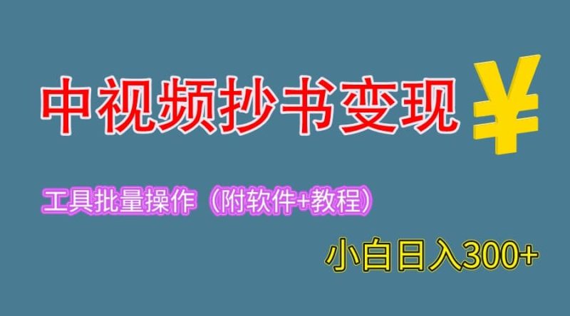 2023中视频抄书变现（附工具+教程），一天300+，特别适合新手操作的副业网赚项目-副业赚钱-互联网创业-独家轻创IP星泽云创