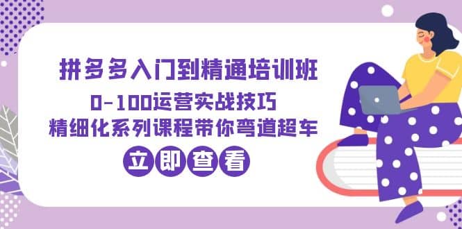 2023拼多多入门到精通培训班：0-100运营实战技巧 精细化系列课带你弯道超车网赚项目-副业赚钱-互联网创业-独家轻创IP星泽云创