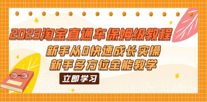 2023淘宝直通车保姆级教程：新手从0快速成长实操，新手多方位全能教学网赚项目-副业赚钱-互联网创业-独家轻创IP星泽云创