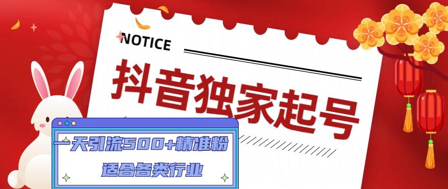 抖音独家起号，一天引流500+精准粉，适合各类行业（9节视频课）网赚项目-副业赚钱-互联网创业-独家轻创IP星泽云创