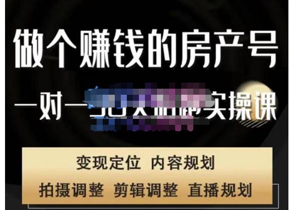 刘广标·同城房产号线上陪跑课，拍摄、剪辑、写文案、直播，做一个具有潜力价值的房产号网赚项目-副业赚钱-互联网创业-独家轻创IP星泽云创