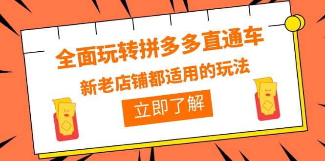 全面玩转拼多多直通车，新老店铺都适用的玩法（12节精华课）网赚项目-副业赚钱-互联网创业-独家轻创IP星泽云创
