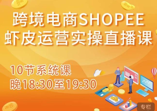 跨境电商Shopee虾皮运营实操直播课，从零开始学，入门到精通（10节系统课）网赚项目-副业赚钱-互联网创业-独家轻创IP星泽云创
