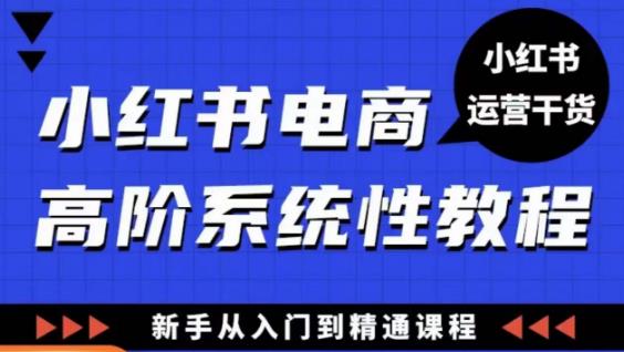 小红书电商高阶系统教程，新手从入门到精通系统课网赚项目-副业赚钱-互联网创业-独家轻创IP星泽云创