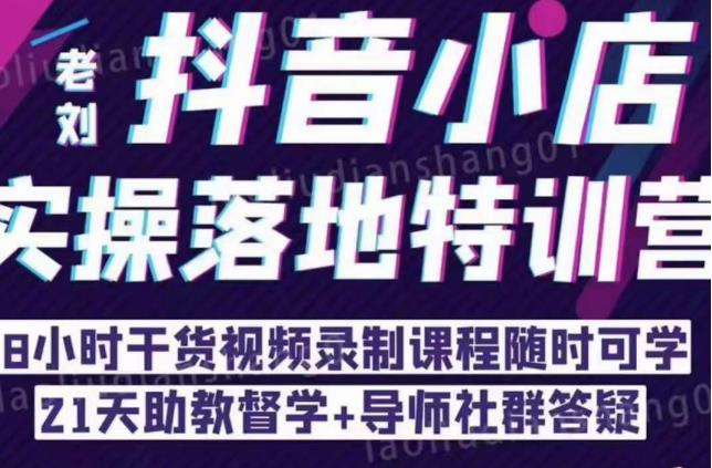 抖音小店实操落地特训营：抖音小店无货源精细化运营，抖店商品卡流量（22节）网赚项目-副业赚钱-互联网创业-独家轻创IP星泽云创