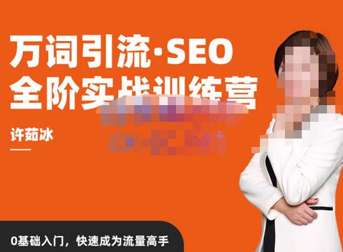 许茹冰·万词引流-SEO全阶实战训练营，0基础入门，快速成为流量高手网赚项目-副业赚钱-互联网创业-独家轻创IP星泽云创