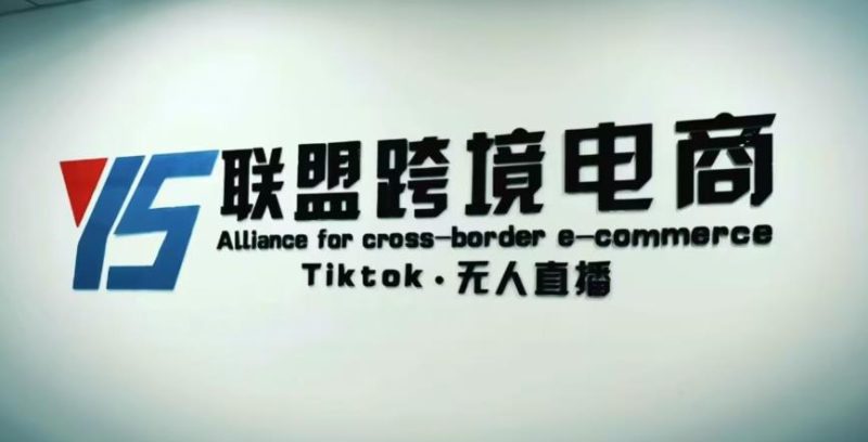 YS联盟·Tiktok无人直播，不出镜不剪辑不拍摄不发货无售后的跨境短视频躺赚玩法网赚项目-副业赚钱-互联网创业-独家轻创IP星泽云创