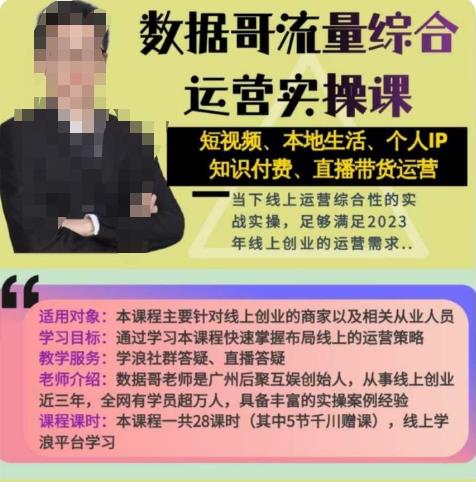 数据哥流量综合运营实操课：短视频、本地生活、个人IP知识付费、直播带货运营网赚项目-副业赚钱-互联网创业-独家轻创IP星泽云创