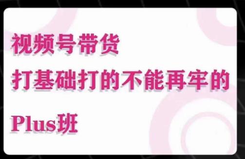 大播汇·视频号带货Puls班，视频号底层逻辑，起号自然流鱼塘等玩法网赚项目-副业赚钱-互联网创业-独家轻创IP星泽云创