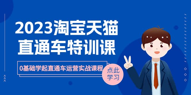 2023淘宝·天猫直通车评特训课，0基础学起直通车运营实战课程（8节课时）网赚项目-副业赚钱-互联网创业-独家轻创IP星泽云创