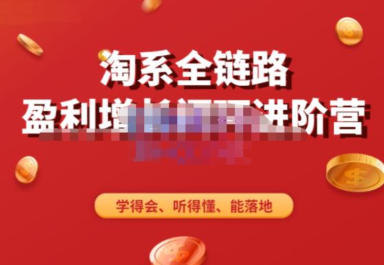 淘系全链路盈利增长闭环进阶营，融合全店动销，学得会、听得懂、能落地！网赚项目-副业赚钱-互联网创业-独家轻创IP星泽云创