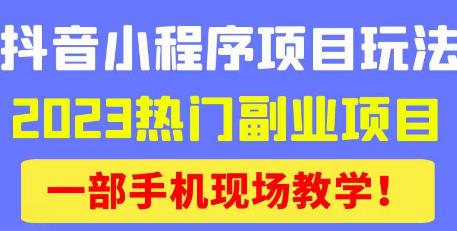 抖音小程序9.0新技巧，2023热门副业项目，动动手指轻松变现网赚项目-副业赚钱-互联网创业-独家轻创IP星泽云创