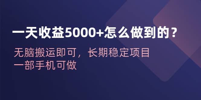 一天收益5000+怎么做到的？无脑搬运即可，长期稳定项目，一部手机可做网赚项目-副业赚钱-互联网创业-独家轻创IP星泽云创