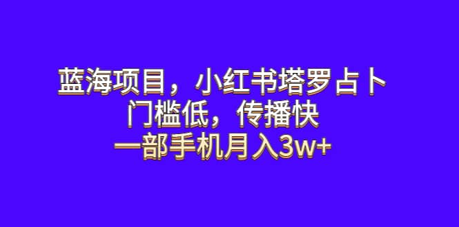 蓝海项目，小红书塔罗占卜，门槛低，传播快，一部手机月入3w+网赚项目-副业赚钱-互联网创业-独家轻创IP星泽云创