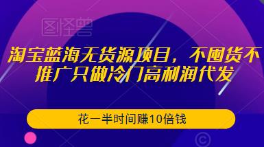 淘宝蓝海无货源项目，不囤货不推广只做冷门高利润代发，花一半时间赚10倍钱网赚项目-副业赚钱-互联网创业-独家轻创IP星泽云创