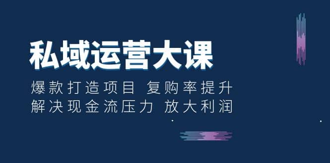 私域运营大课：爆款打造项目 复购率提升 解决现金流压力 放大利润网赚项目-副业赚钱-互联网创业-独家轻创IP星泽云创