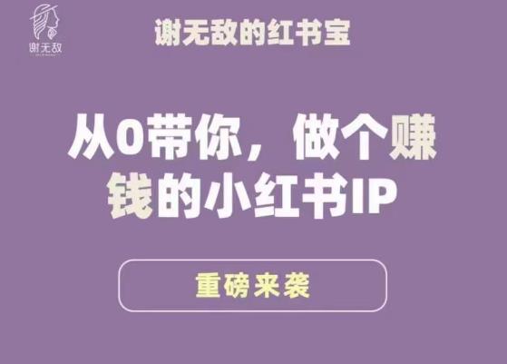 谢无敌·小红书运营大宝典，从0带你做个赚钱的小红书IP网赚项目-副业赚钱-互联网创业-独家轻创IP星泽云创