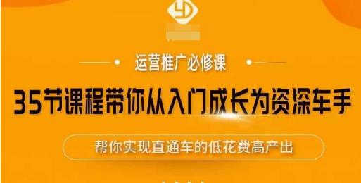 35节课程带你从入门成长为资深车手，让系统学习直通车成为可能，帮你实现直通车的低花费高产出网赚项目-副业赚钱-互联网创业-独家轻创IP星泽云创
