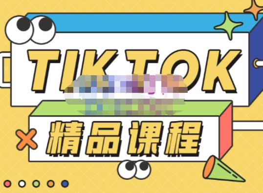 电商孵化中心·TikTok精品课程，教你玩转海外抖音，低成本创业，带您从0开始玩转TikTok网赚项目-副业赚钱-互联网创业-独家轻创IP星泽云创