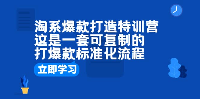 淘系爆款打造特训营：这是一套可复制的打爆款标准化流程网赚项目-副业赚钱-互联网创业-独家轻创IP星泽云创