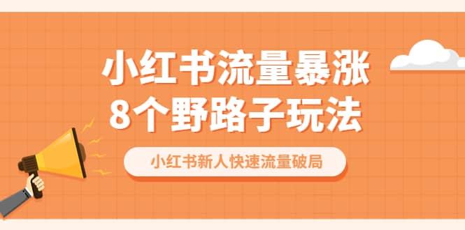 小红书流量-暴涨8个野路子玩法：小红书新人快速流量破局（8节课）网赚项目-副业赚钱-互联网创业-独家轻创IP星泽云创