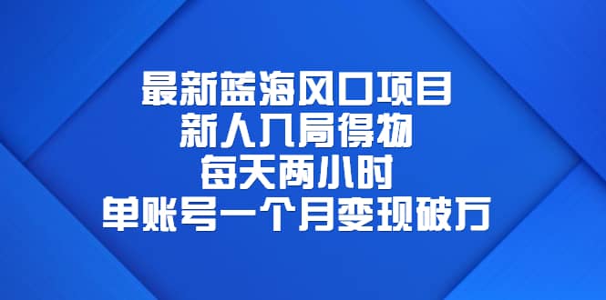 最新蓝海风口项目，新人入局得物，每天两小时，单账号一个月变现破万网赚项目-副业赚钱-互联网创业-独家轻创IP星泽云创