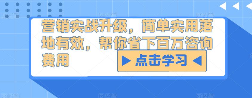 营销实战升级，简单实用落地有效，帮你省下百万咨询费用网赚项目-副业赚钱-互联网创业-独家轻创IP星泽云创