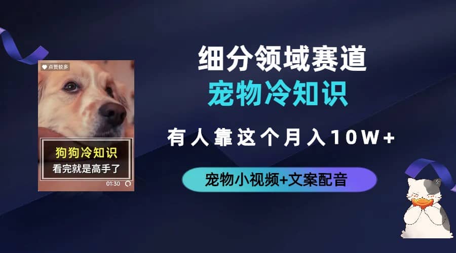不起眼的抖音细分赛道-宠物冷知识，一段宠物视频配文案，有人靠这个月入10w网赚项目-副业赚钱-互联网创业-独家轻创IP星泽云创