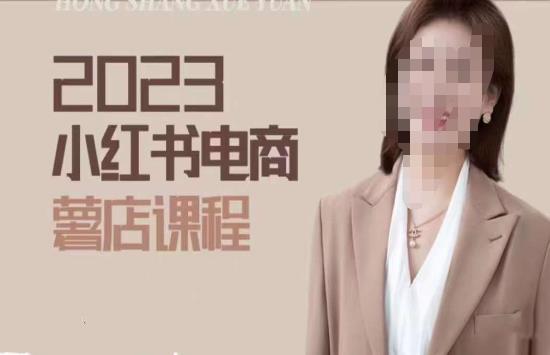 2023小红书电商课，新手小白从0~1玩转小红书薯店电商网赚项目-副业赚钱-互联网创业-独家轻创IP星泽云创