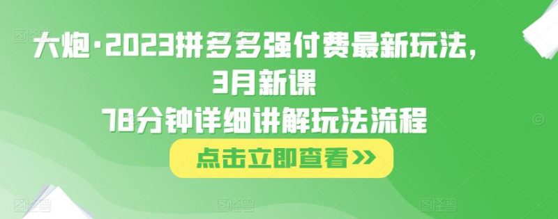 大炮·2023拼多多强付费最新玩法，3月新课​78分钟详细讲解玩法流程网赚项目-副业赚钱-互联网创业-独家轻创IP星泽云创