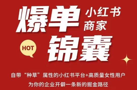无畏·小红书商家爆单锦囊，掌握小红书各大规则，快速精准抢占行业和市场网赚项目-副业赚钱-互联网创业-独家轻创IP星泽云创