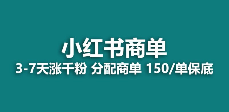 2023最强蓝海项目,小红书商单项目,没有之一网赚项目-副业赚钱-互联网创业-独家轻创IP星泽云创